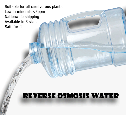 GROWING SUPPLIES:  Reverse Osmosis Water for sale | Buy carnivorous plants and seeds online @ South Africa's leading online plant nursery, Cultivo Carnivores