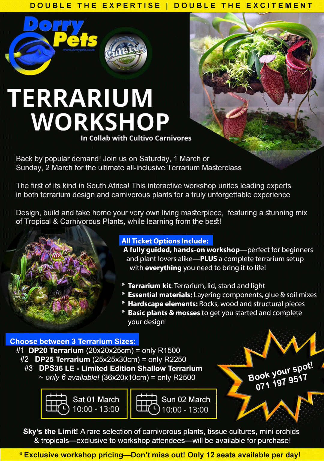 Terrarium Workshop - All inclusive, Centurion South Africa